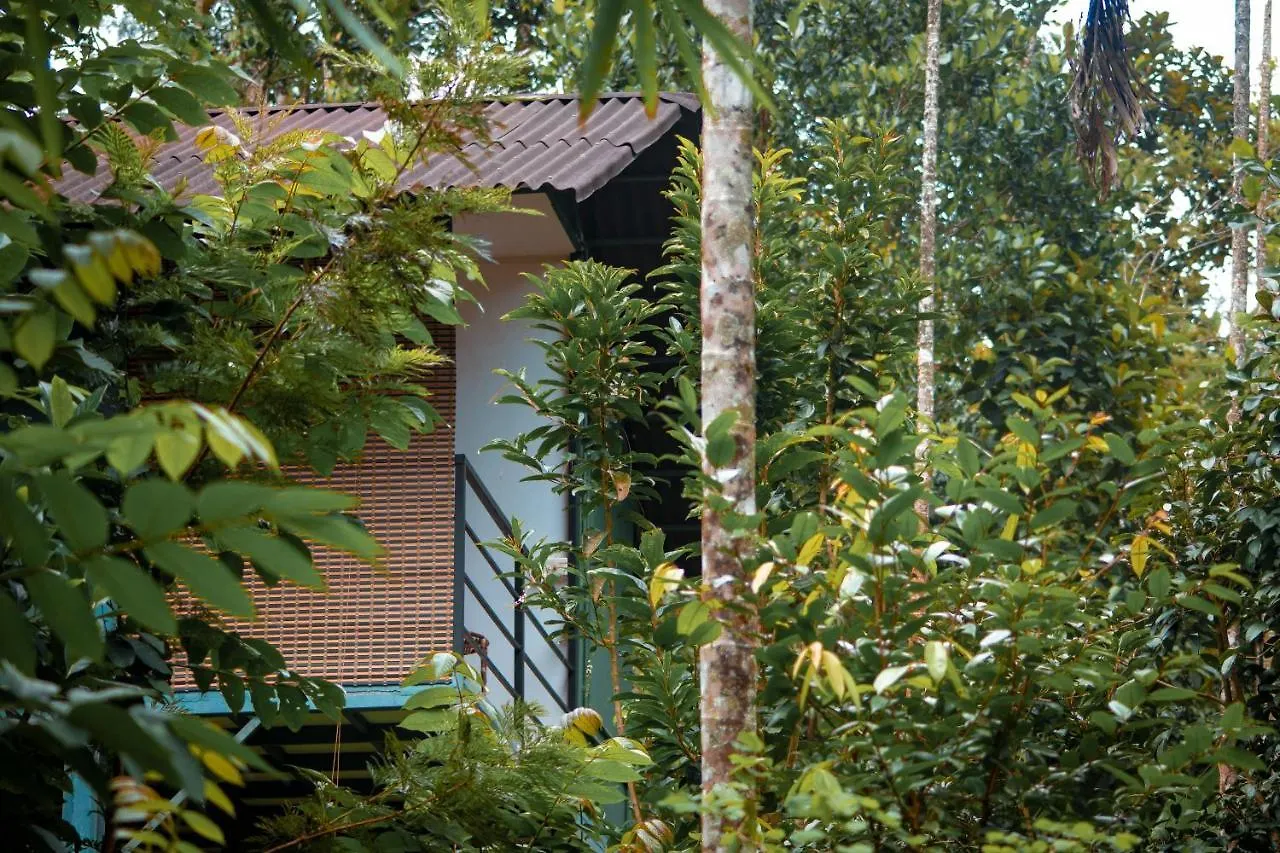 Edens Munnar Hotel Resort