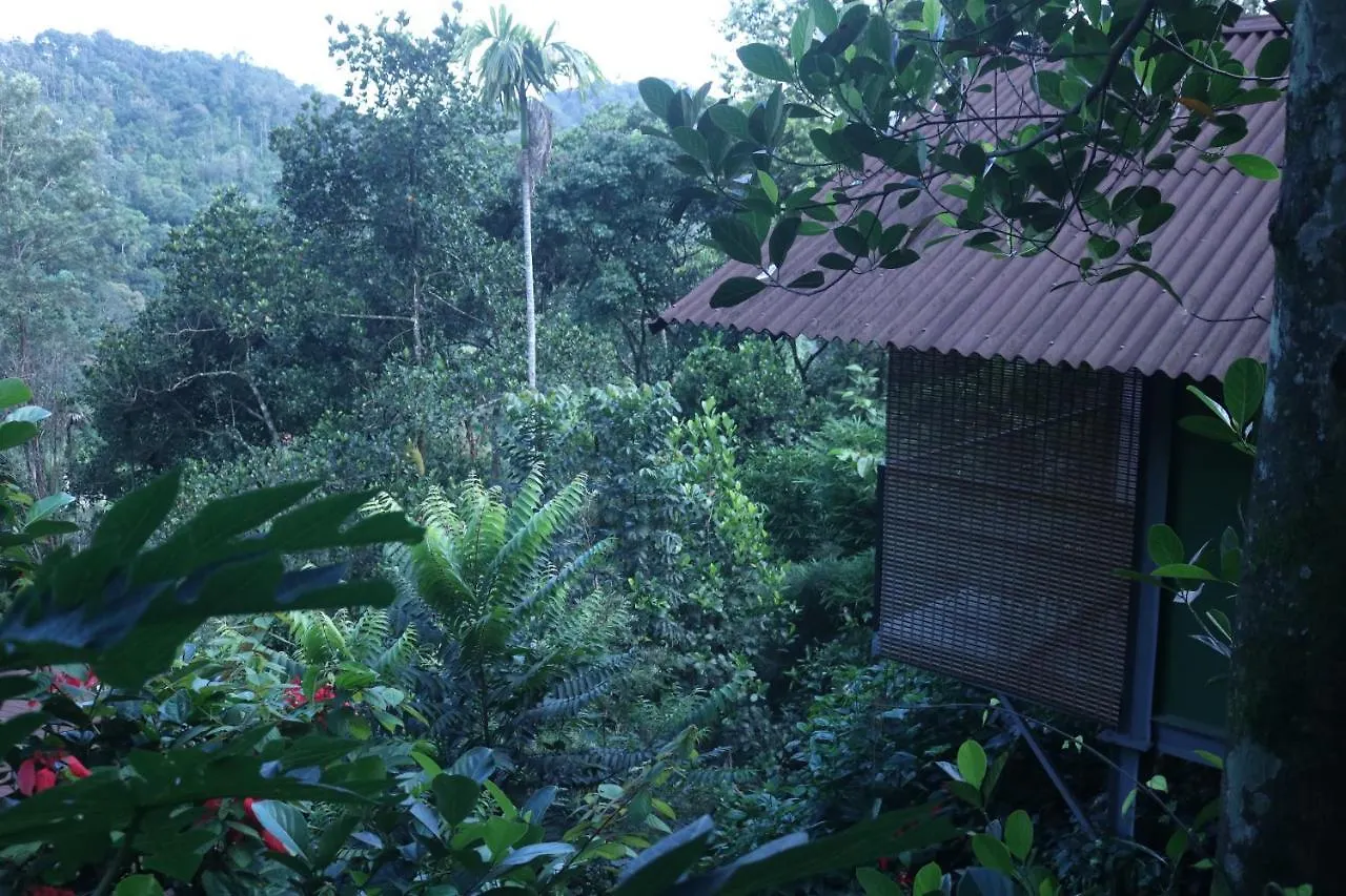 Edens Munnar Hotel