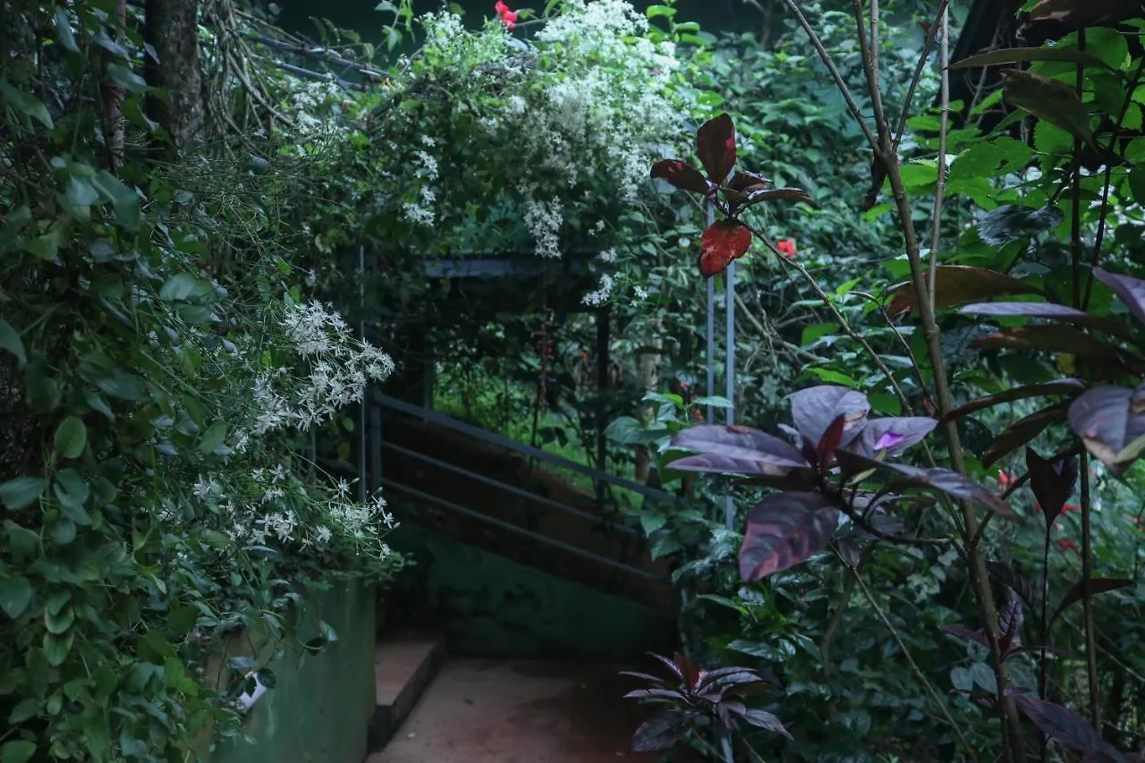 Edens Munnar Hotel Resort