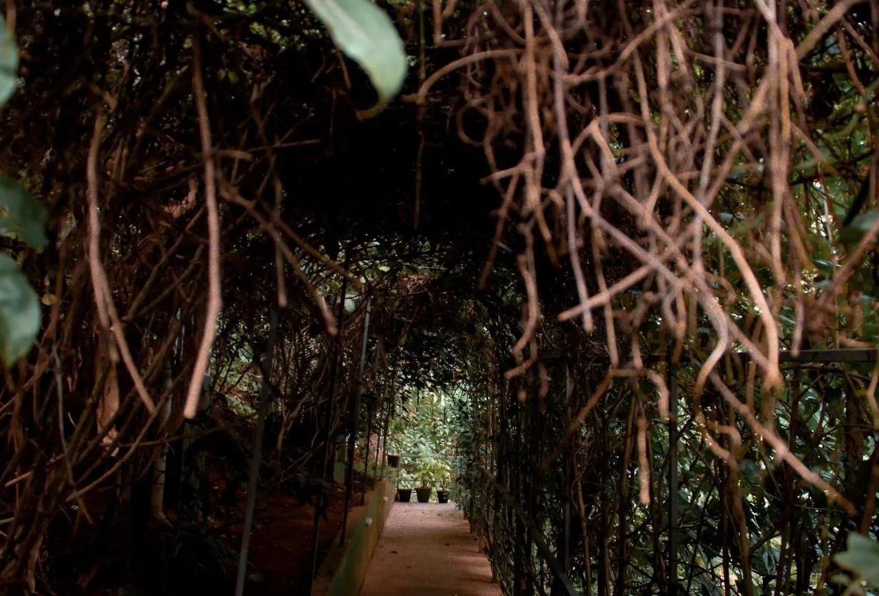 Hotel Edens Munnar Station touristique