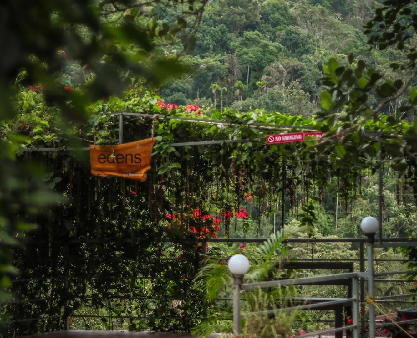Hotel Edens Munnar Inde