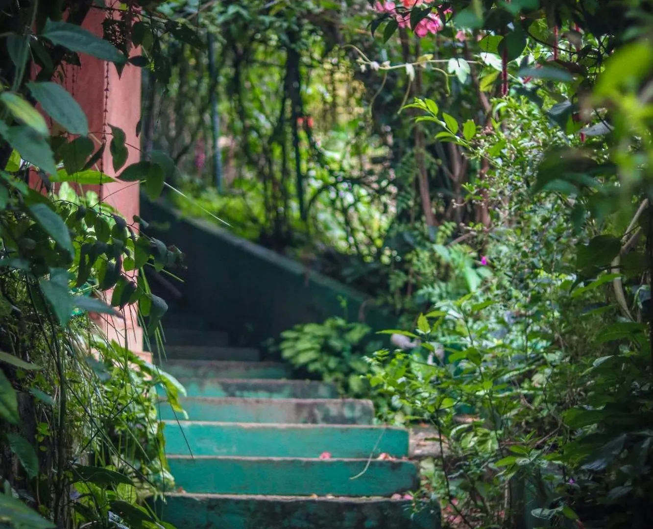 Hotel Edens Munnar