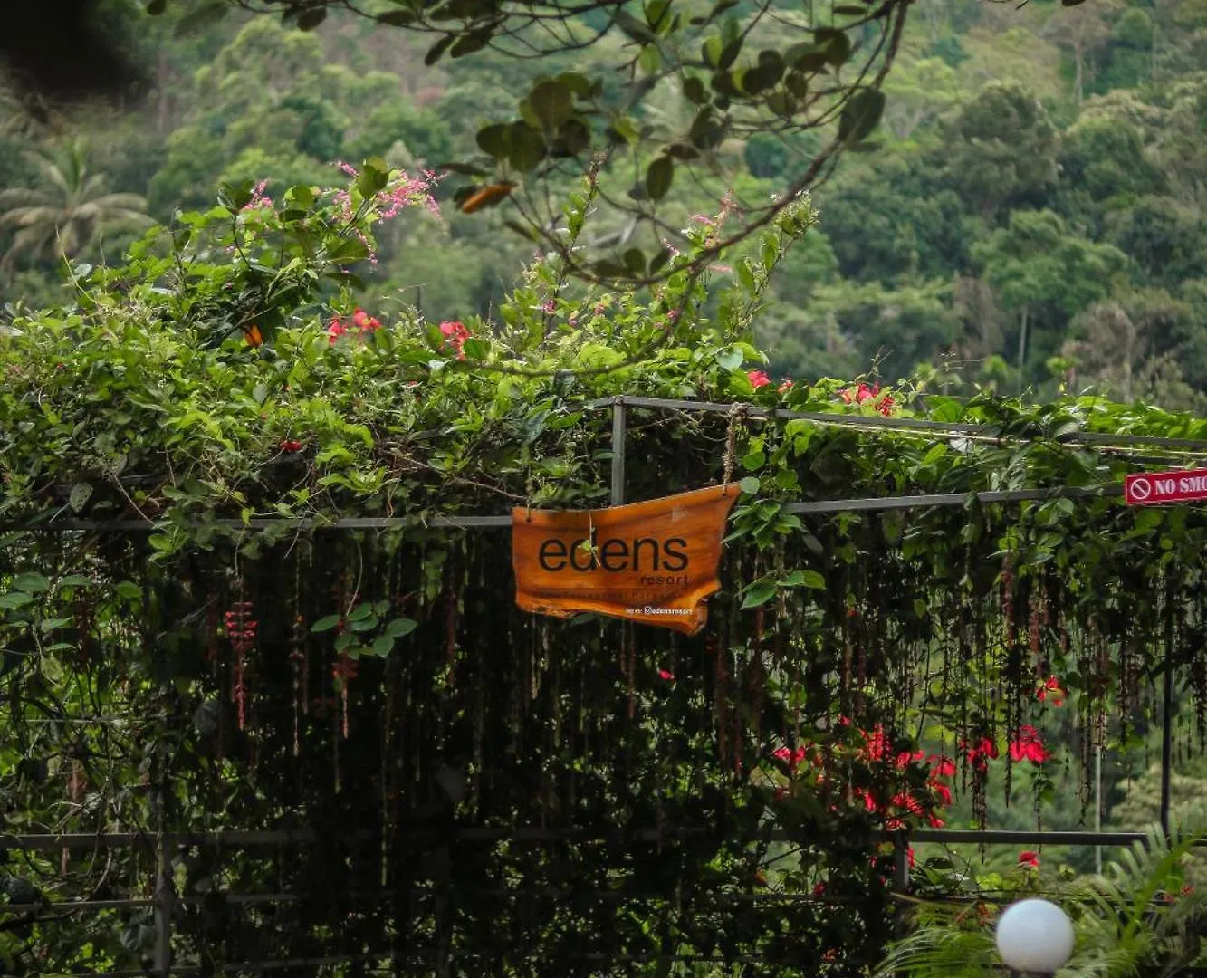 Hotel Edens Munnar Inde