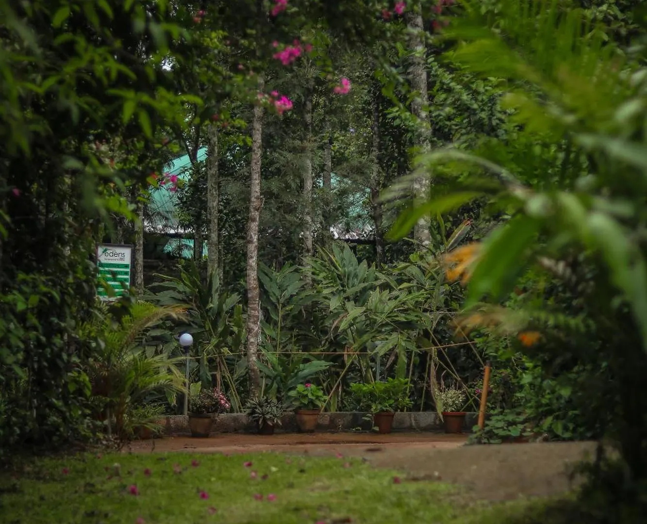 Hotel Edens Munnar 3*,  Inde