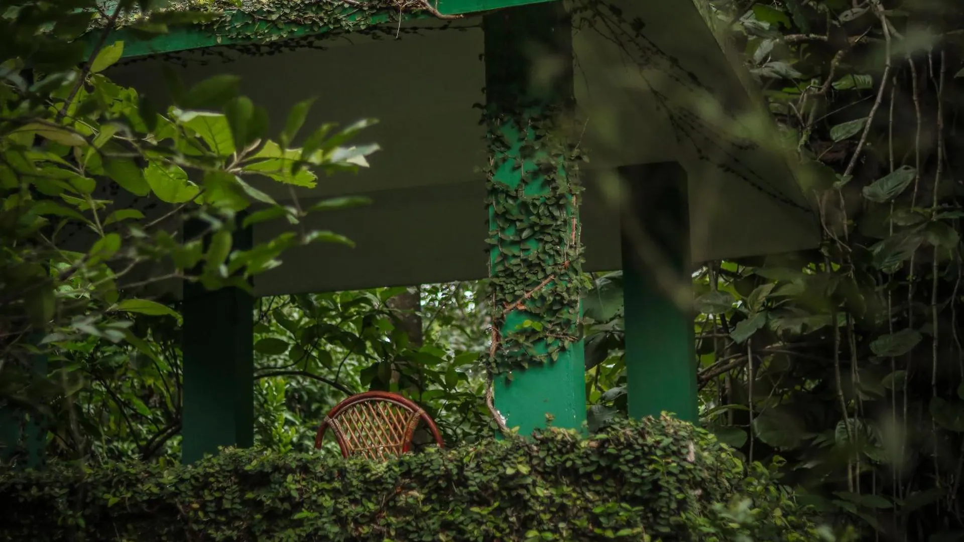 Hotel Edens Munnar 3*,  Inde