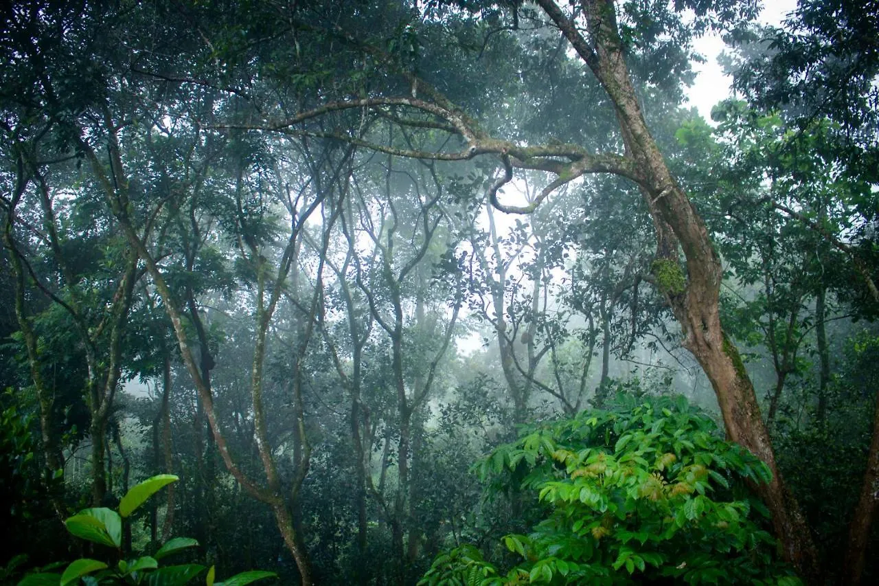 Edens Munnar Hotel India