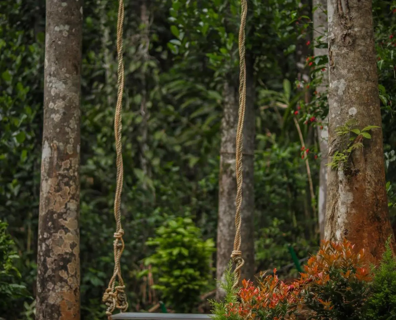 Edens Munnar Hotel